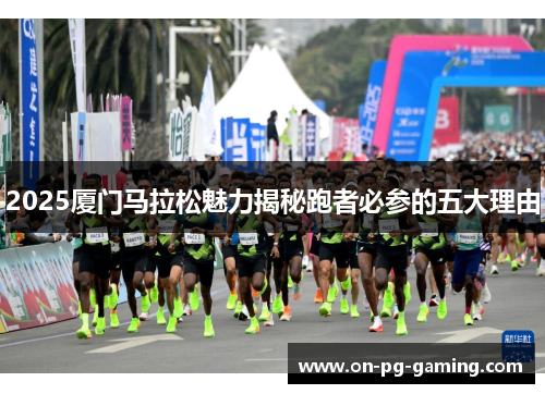 2025厦门马拉松魅力揭秘跑者必参的五大理由
