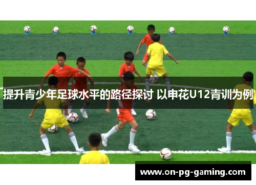 提升青少年足球水平的路径探讨 以申花U12青训为例