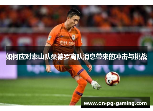 如何应对泰山队桑德罗离队消息带来的冲击与挑战
