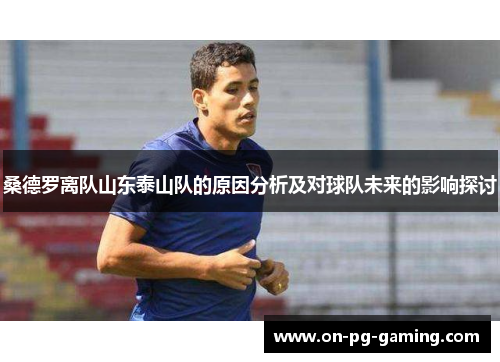 桑德罗离队山东泰山队的原因分析及对球队未来的影响探讨