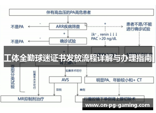 工体全勤球迷证书发放流程详解与办理指南