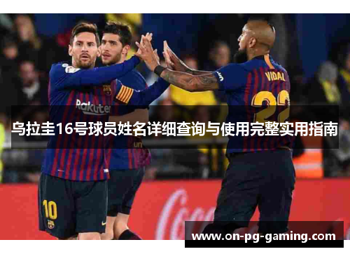 乌拉圭16号球员姓名详细查询与使用完整实用指南