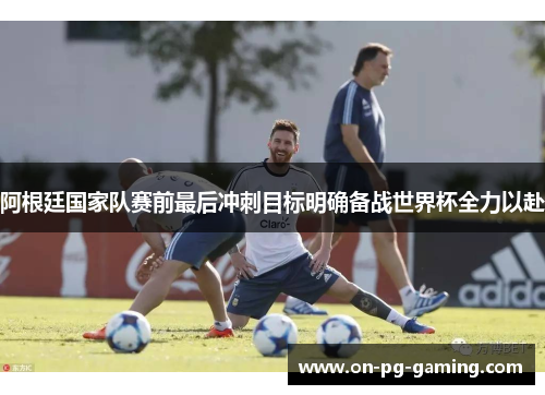 阿根廷国家队赛前最后冲刺目标明确备战世界杯全力以赴